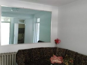 呼和浩特鼓樓精品學(xué)區(qū)房出租 優(yōu)質(zhì)教育資源與便捷生活的完美結(jié)合